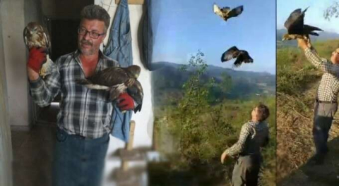 Alkışlanacak bir emek! Bursa'da yaralı şahinleri iyileştirip özgür bıraktı!