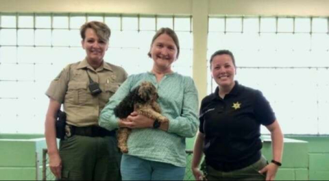 Yedi yıl önce kaybolan köpek bulundu!