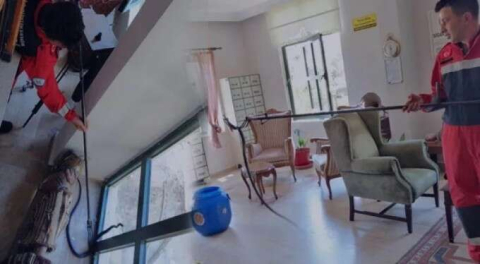 Şehrin göbeğinde yılan paniği! Salona kadar girdi...