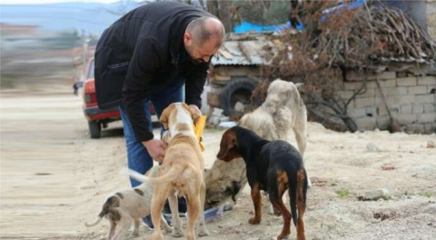 Orhaneli Belediyesi'nden sokak hayvanları için çağrı!