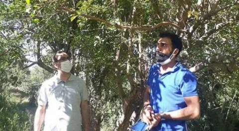 Elma ağacı 50 yıl sonra meyve verdi! Araştırma yapıldı