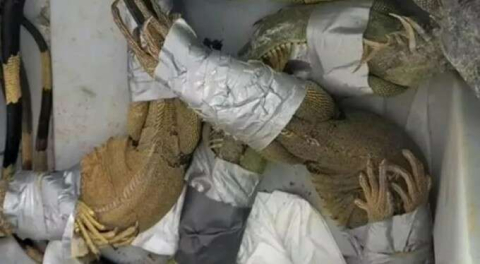 Görenler inanamadı! Bantlayıp hepsini aracında satıyormuş...