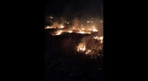 Eğlence uğruna... Bursa'da havai fişekler çalılık alana düştü!