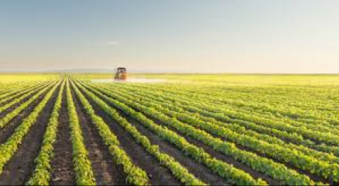 Isparta'da 3.097 m2 tarla satılık!