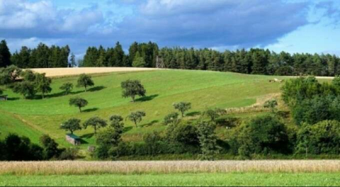 İzmir 'de 4.100 m2 tarım arazisi satılık!