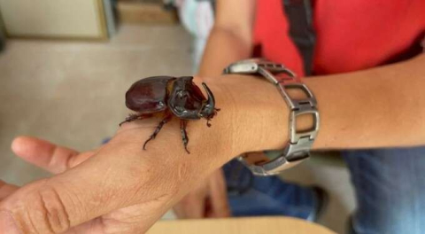 Bursa'da dükkanında buldu! 'Gözüm gibi bakıyorum ailemizden biri'