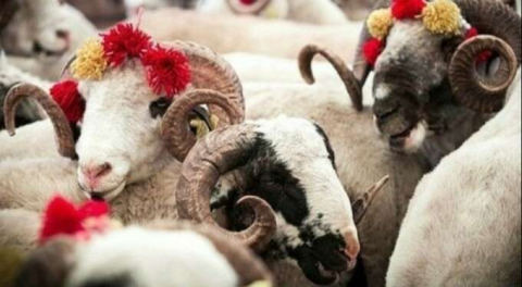 Bayram tatili kaç gün? İşte 2021 resmi izin günleri...