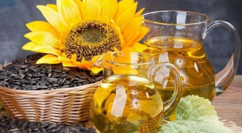 Ayçiçeği yağı fiyatında düşüş bekleniyor