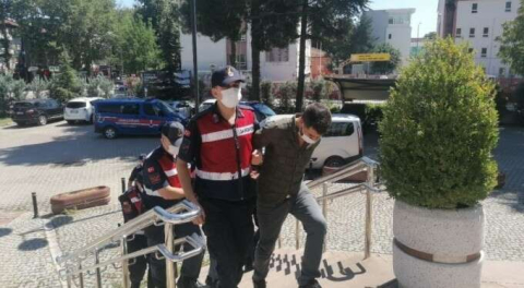 Bursa'da operasyon! Ormanlık alanda devriye atarken yakaladılar