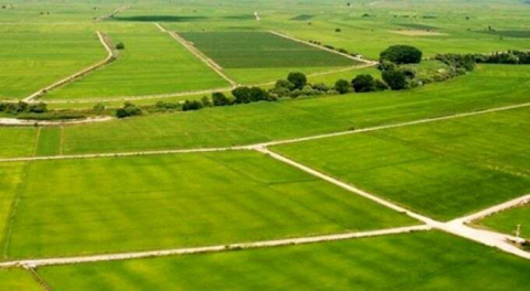 İcradan satılık tarla