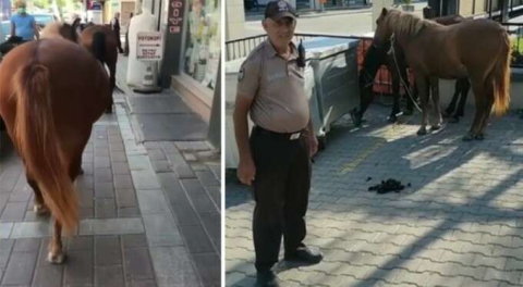 Bursa'da kara yolundaki başıboş atlar yakalandı