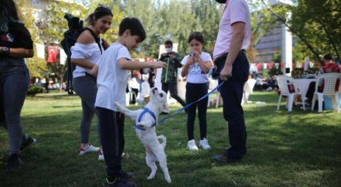 Bursa'daki 'Can Dostlarım Şenliği'nden renkli görüntüler