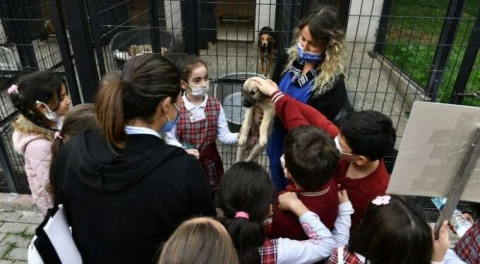 Bursa'da barınak kapılarını hayvanseverlere açtı