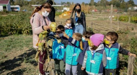 Nilüferli minikler üretimi yerinde görüyor