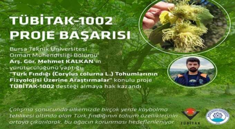 Türk Fındığı Araştırmasına TÜBİTAK Desteği