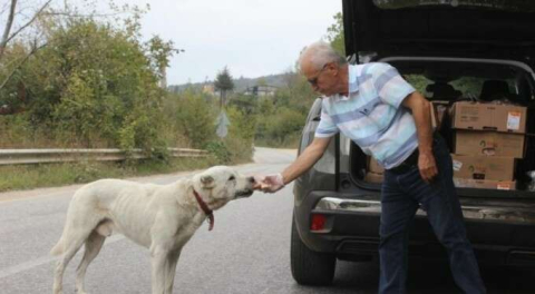 Uludağ'daki aç hayvanların babasından duygusal veda