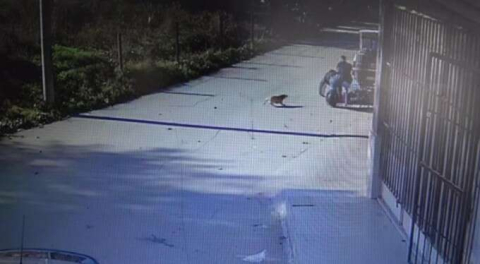 Bursa'da öfkesine yenik düştü, canından oluyordu