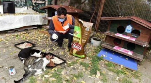 Yıldırım'ın sessiz s&acirc;kinleri güvende