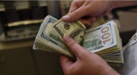 Dolar/TL 13 seviyesini aştı