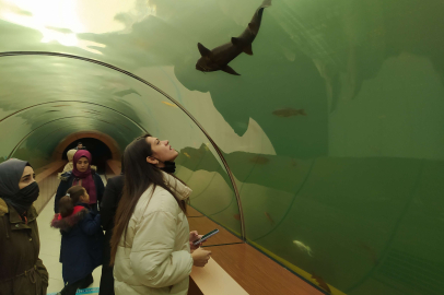 Bursa'da köpek balıklarıyla dolu tünel... Girenler şaşkınlığını gizleyemiyor