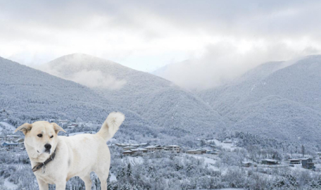 Bursa'da kar yağışı sonrası kartpostallık manzaralar