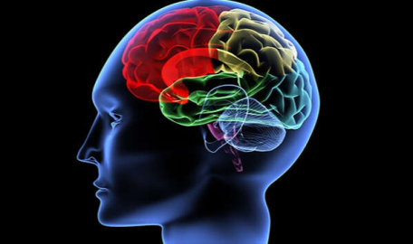 Ölüm anında insan beyninde neler oluyor?