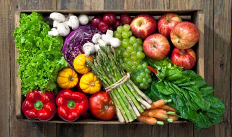 İnsan vücuduna iyi gelen besinler