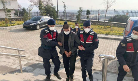 Bursa'da 250 bin TL'lik fidan hırsızları yakalandı