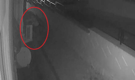 Bursa’nın ‘kedi’si suçüstü yakalandı