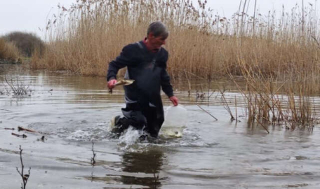 Bursa'da buz gibi suyun içinde saatlerce sülük arıyor  