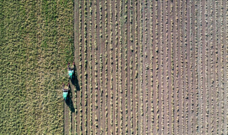 Tarımsal destekleme ödemeleri başlıyor 