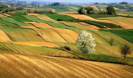 Hazine arazileri tarıma kazandırılıyor