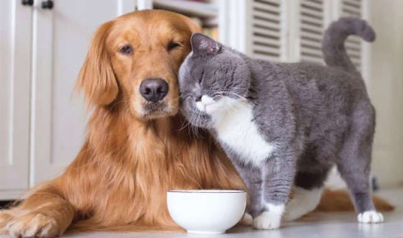 Bunu da beceremedik! 