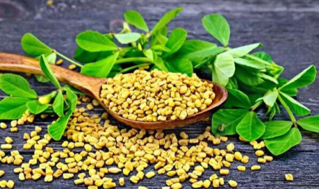 Çemen otunun faydaları