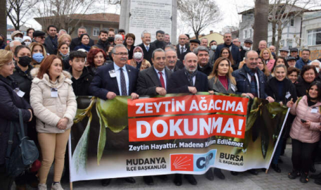 Zeytin gölgesinde kongre söylentisi 