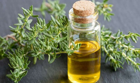 Kekik yağının faydaları