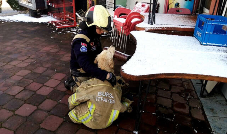 Günün en güzel fotoğrafı Bursa'dan... 