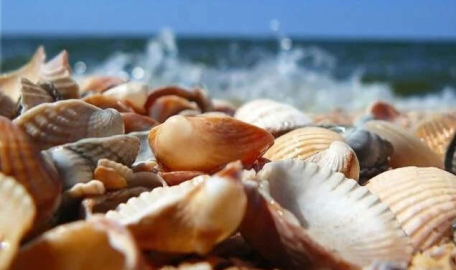 Nasıl biri olarak anılmak isterim?