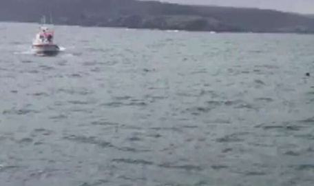 Bakanlık duyurdu! Yasaklandı...