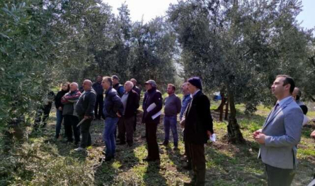 Mudanya'da üreticiye bahar öncesi budama eğitimi  