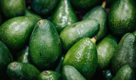 Avokadonun faydaları nelerdir?