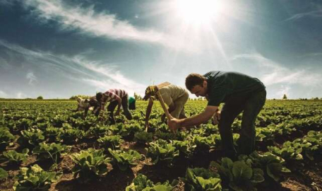 Bazı ekonomik açmazlar