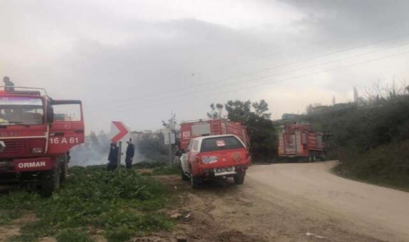 Gemlik’teki orman yangını kontrol altında...