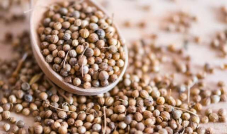 Kişnişin faydaları?