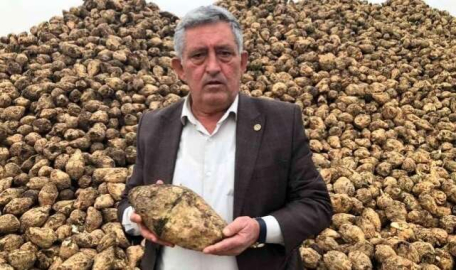 Şekerde fiyat oyununu bozacak gelişme  