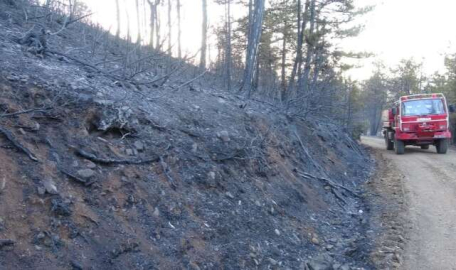 Bursa'da 60 hektar alan kül oldu! 18 saat sonra... 