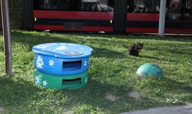 Eski lastikler kedilere ev oldu