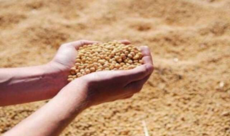 Yem Hammaddeleri satın alınacaktır 