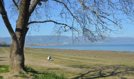 İznik'te tehlike çanları! 'Kritik eşiğe ulaşmaması için...'