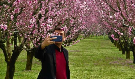 Bursa'da meyve bahçeleri fotoğraf stüdyosuna döndü